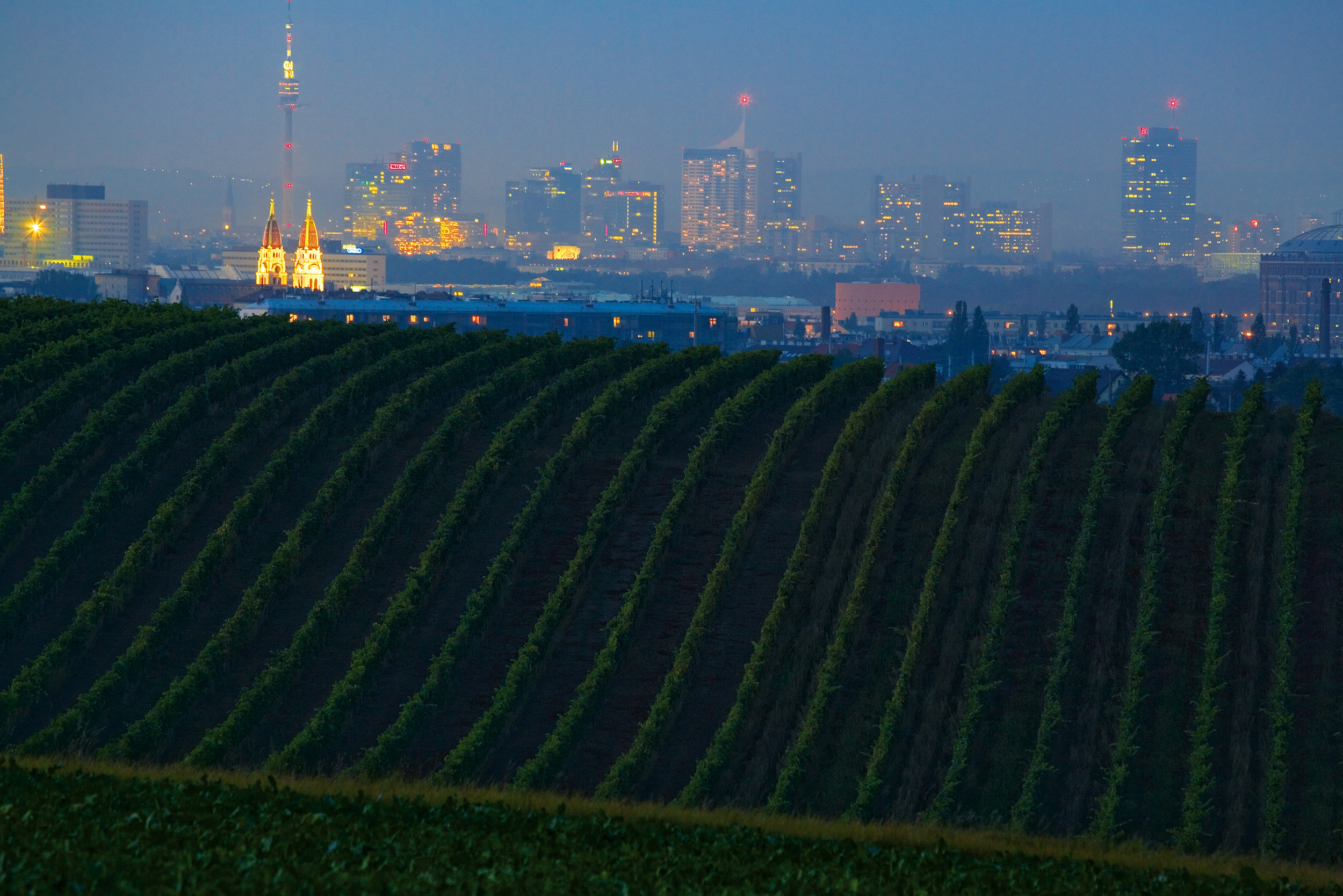 Drinking In The Views From Vienna S Wineries Vienna Austria Travel Winery