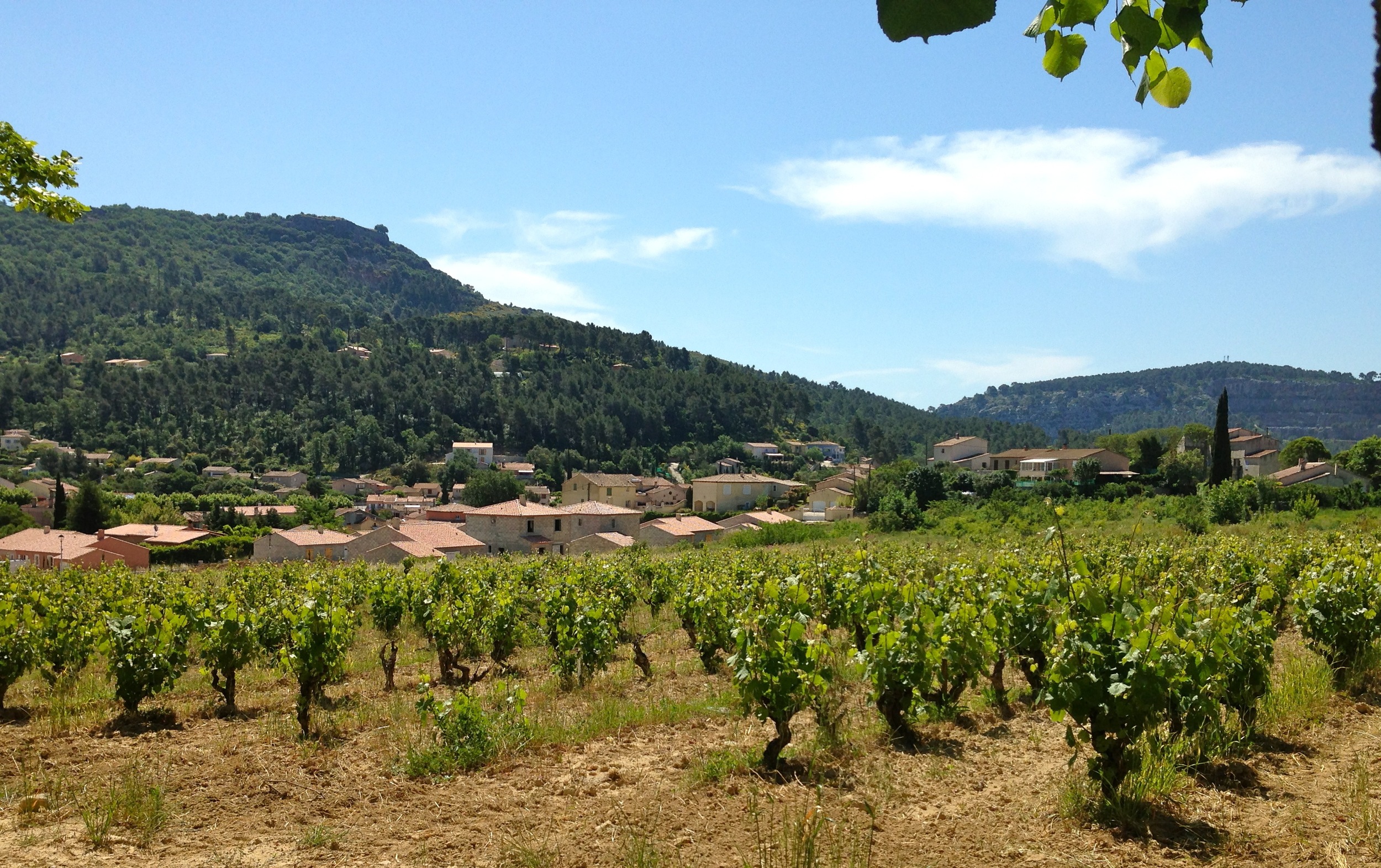 Wine is tremendously true to its terrior