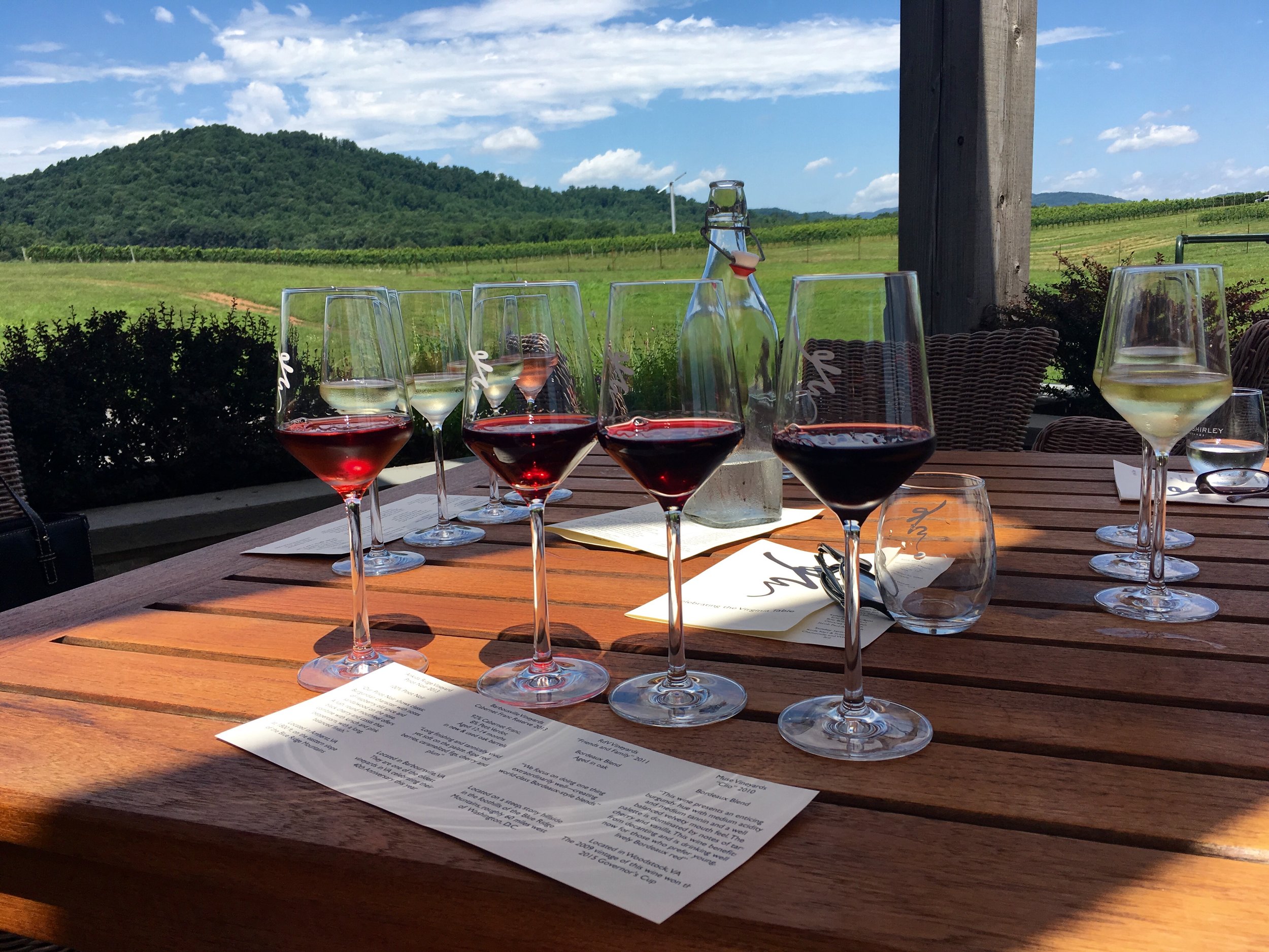 Tasting Flight of Reds