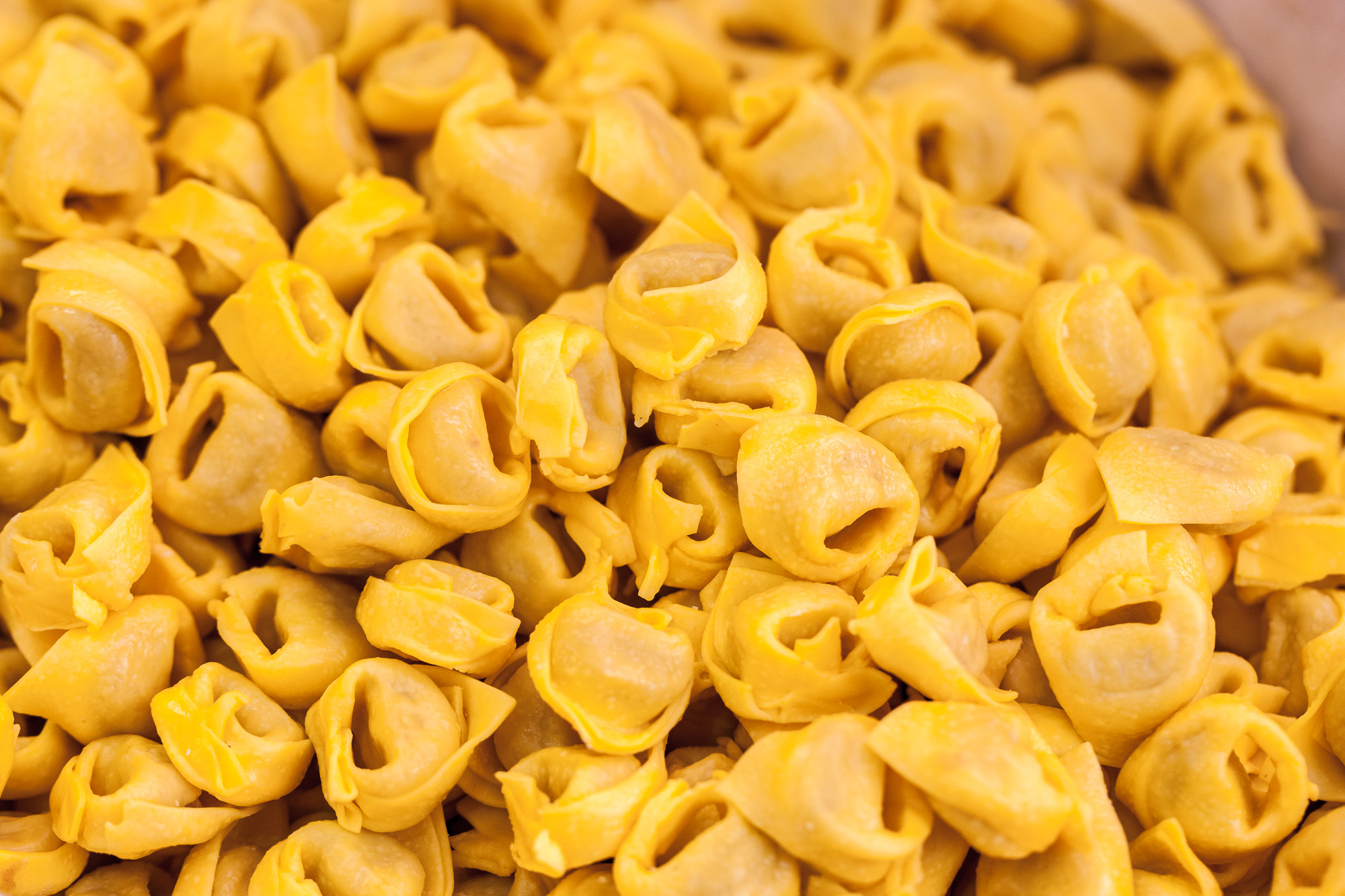 Fresh Pasta made in Modena