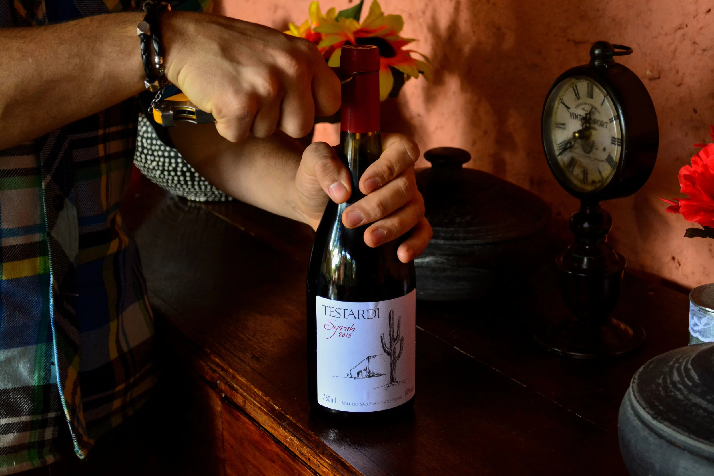 Testardi, one of the best labels in São Francisco River Valley