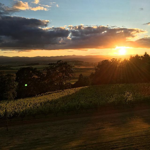 A beautiful sunset at Belle Pente | Photo Credit: Belle Pente Vineyard and Winery