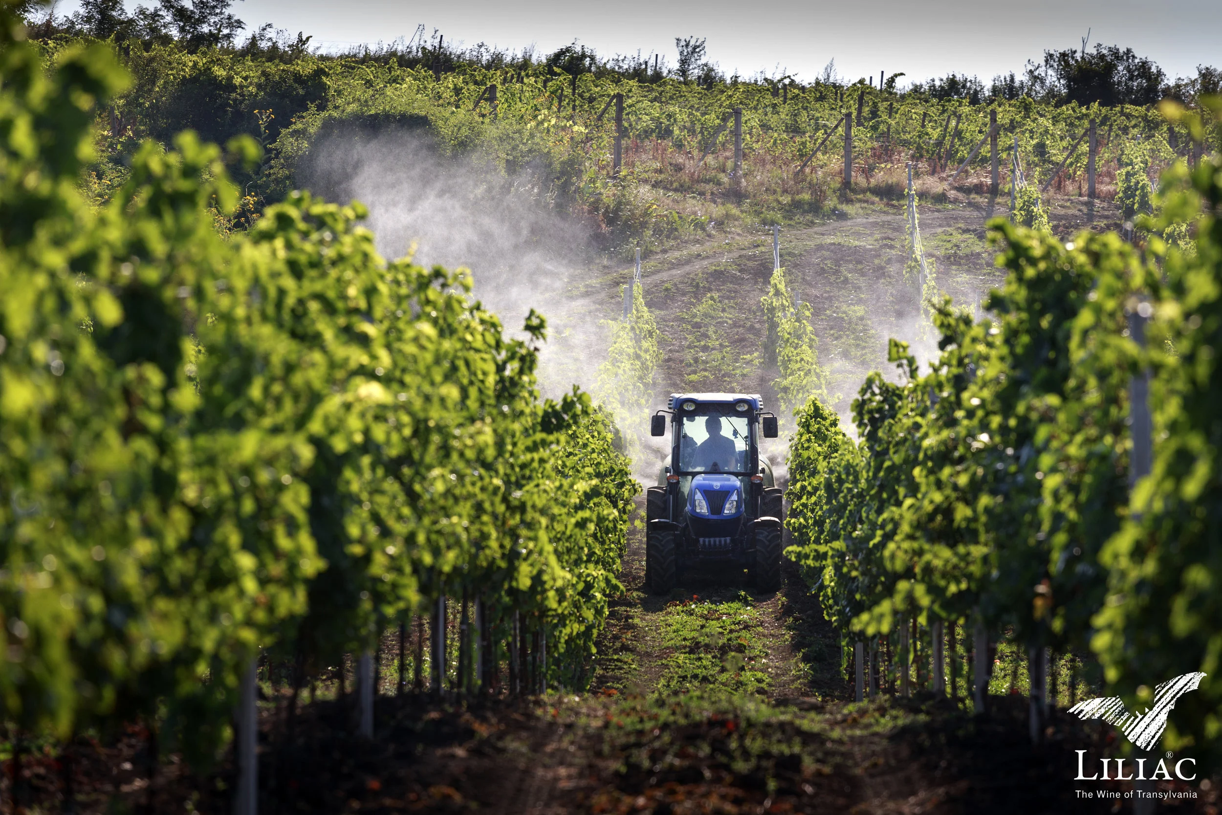 A breathtaking landscape with good food, excellent wines, and friendly people | Photo Credit: Liliac