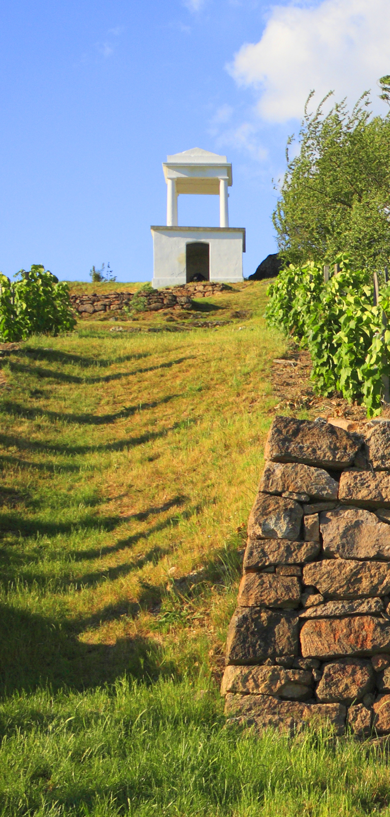 An Ideal Site for Aszu