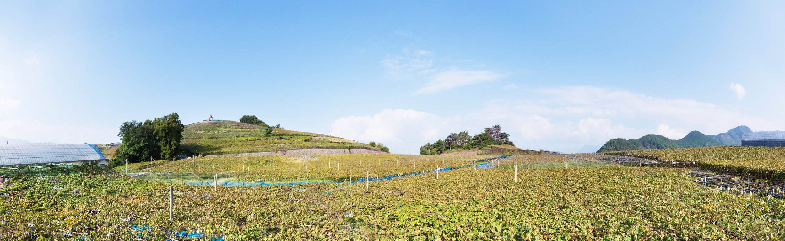 Koshu, Japan