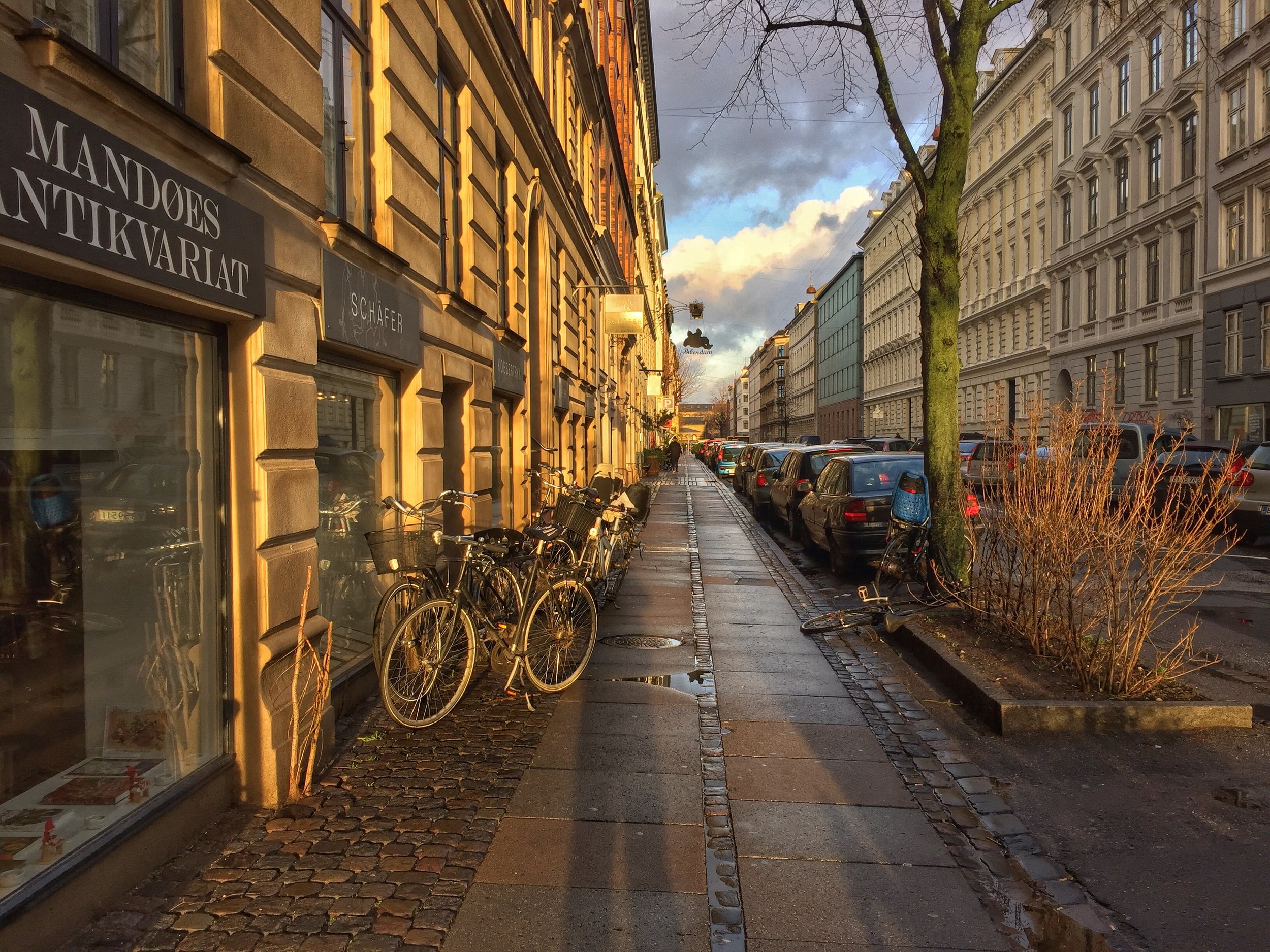 Winter Afternoon sunlight