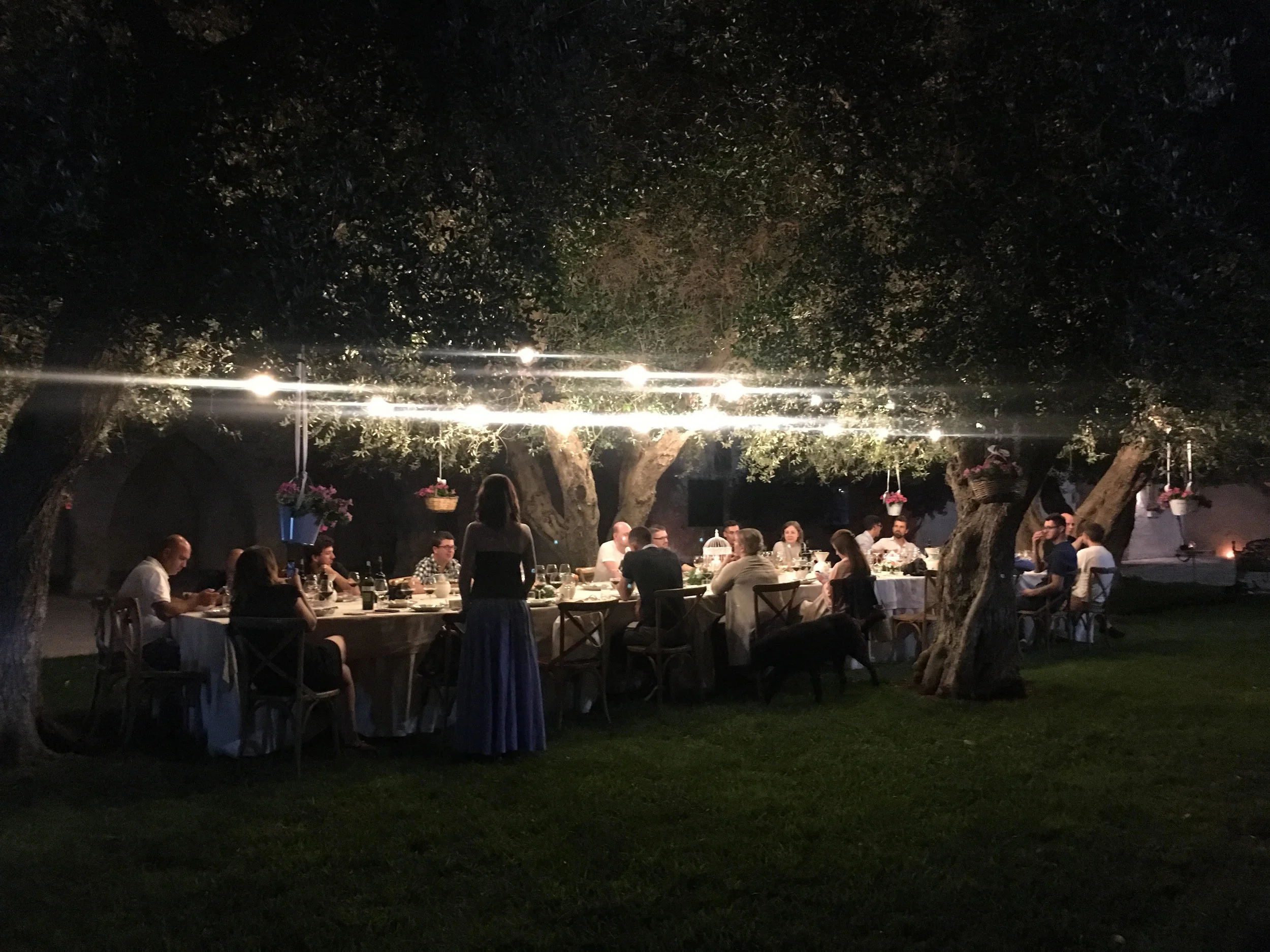 One of my wine events, organized in the stunning location of Masseria Altemura winery in Puglia.