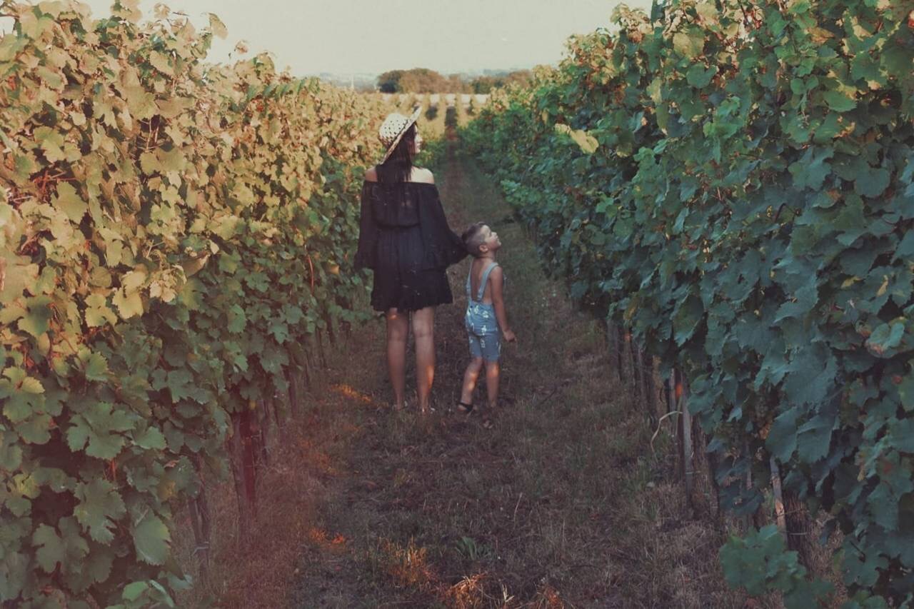 Walking through the vineyard with her young son.