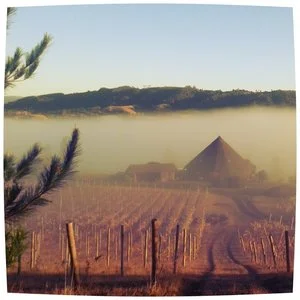 Anne-Laure Ferroir @ Anna_aroundthewine