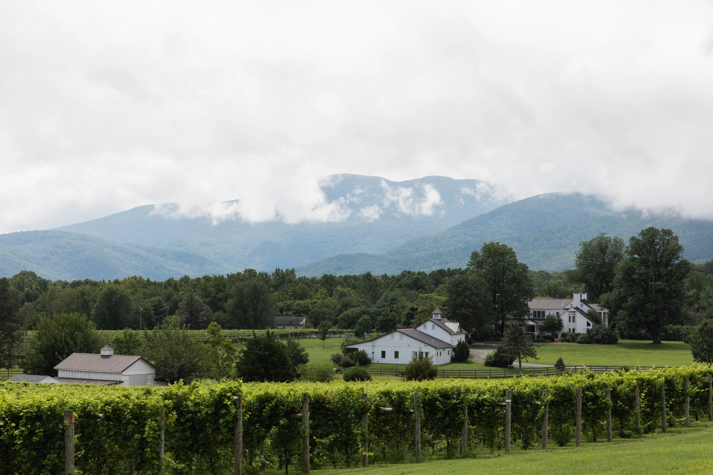 Veritas Vineyards