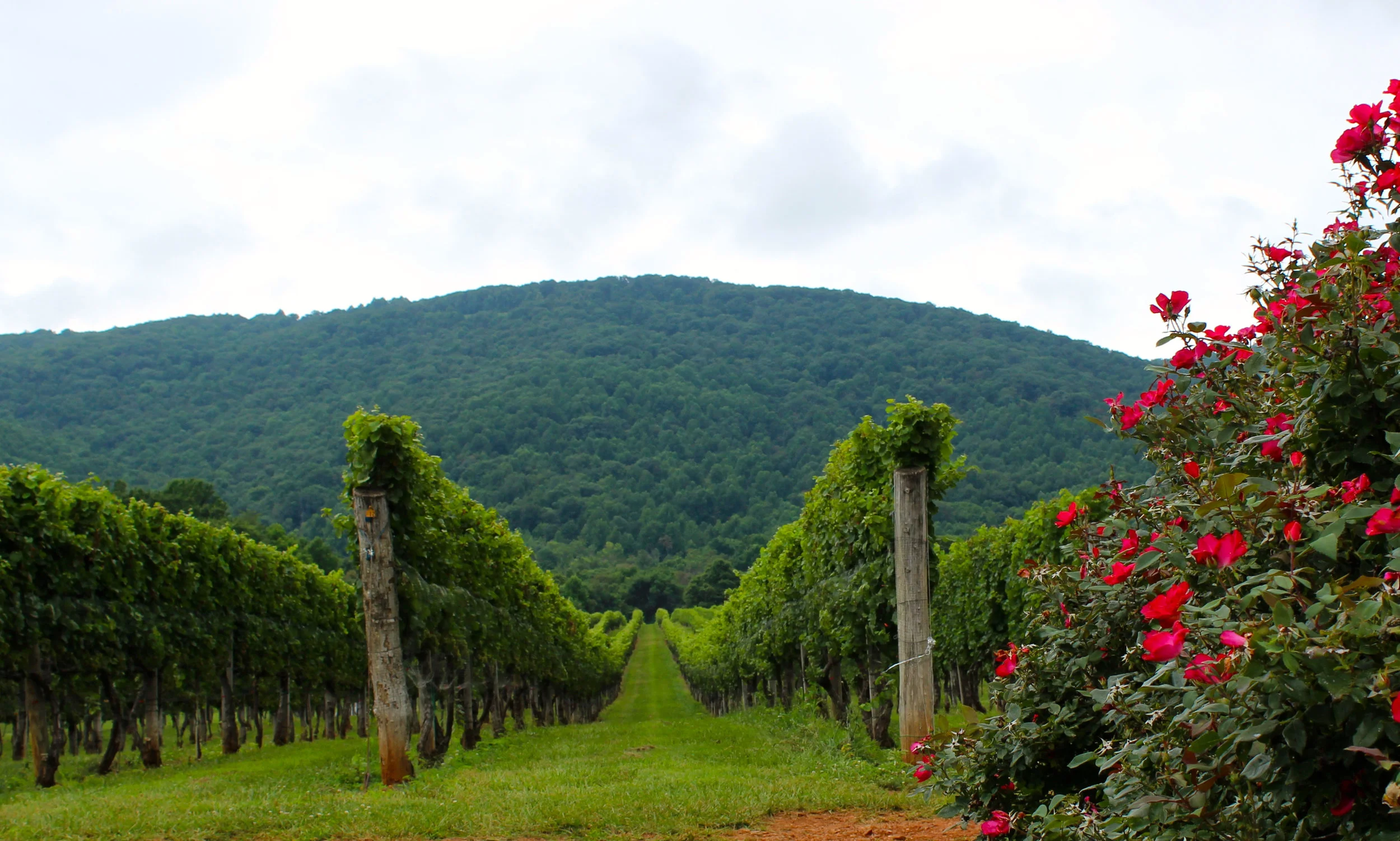 Afton Mountain
