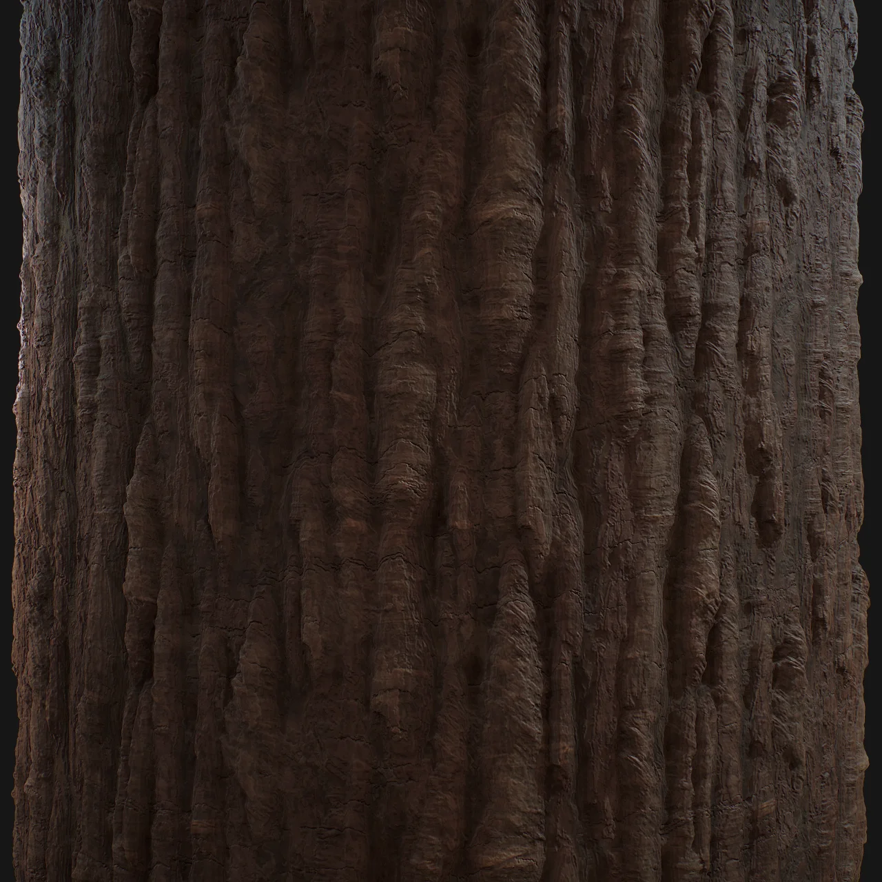 Bark_CloseUp.jpg