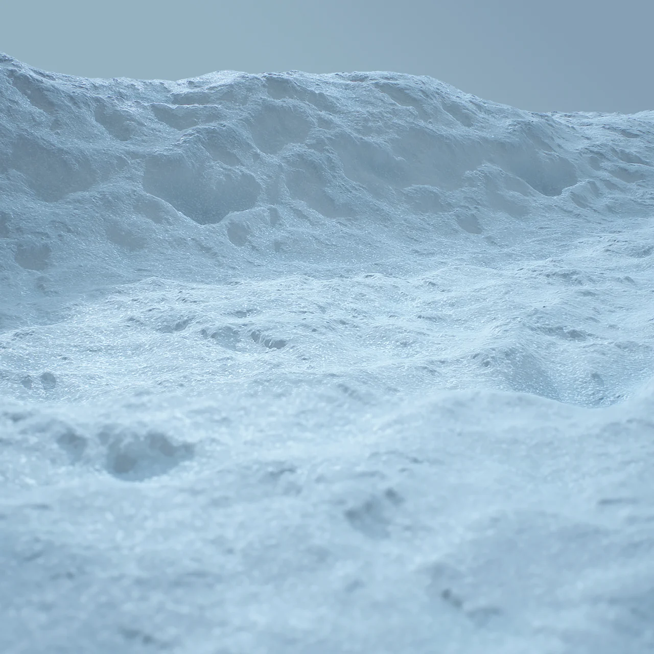 SnowRough_CloseUp)2.jpg