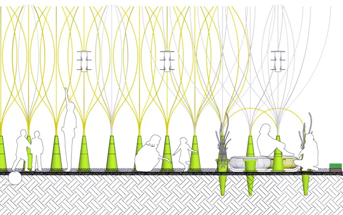 2009 - seedling - 4.jpg