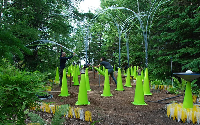 2009 - seedling - 3.jpg