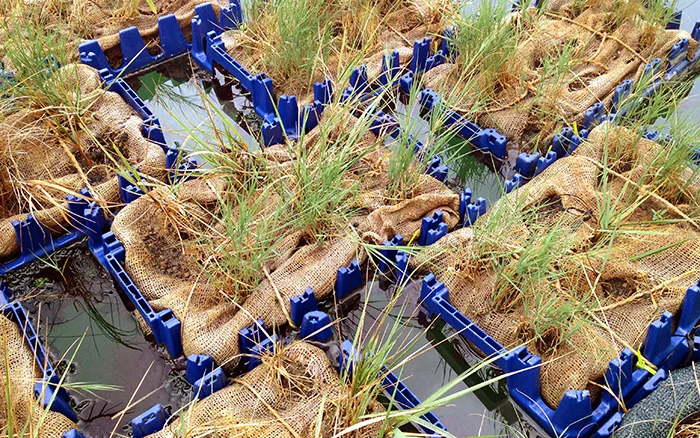 2013 - floatlands - 1.jpg