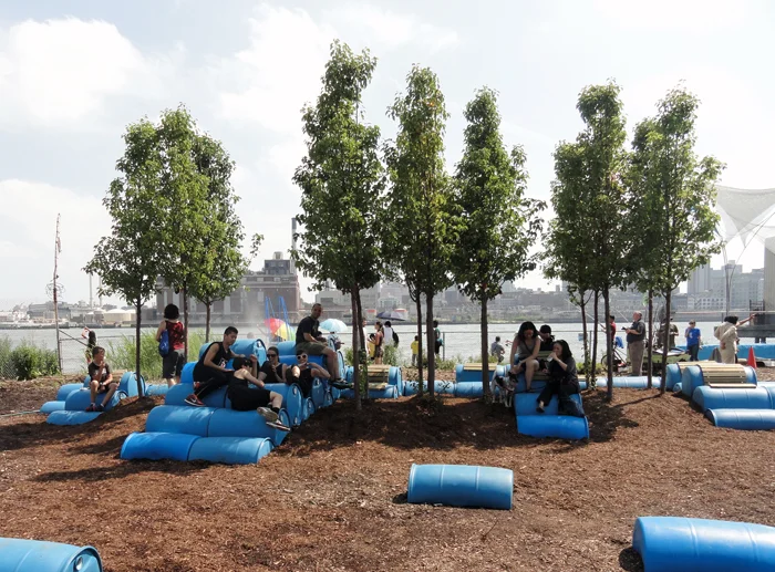 2015 - drumreef - 2.jpg