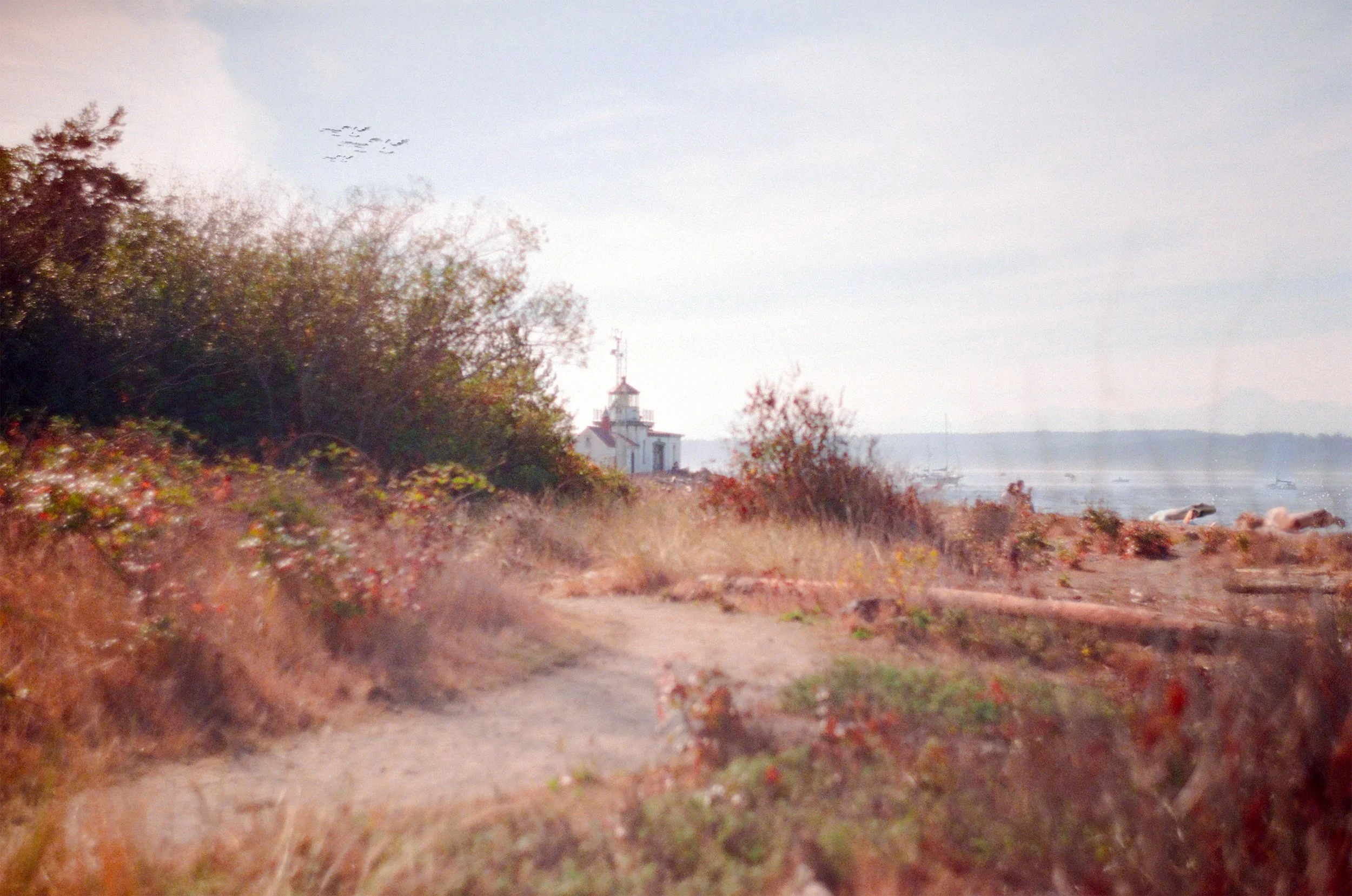 lighthouse print version.jpg
