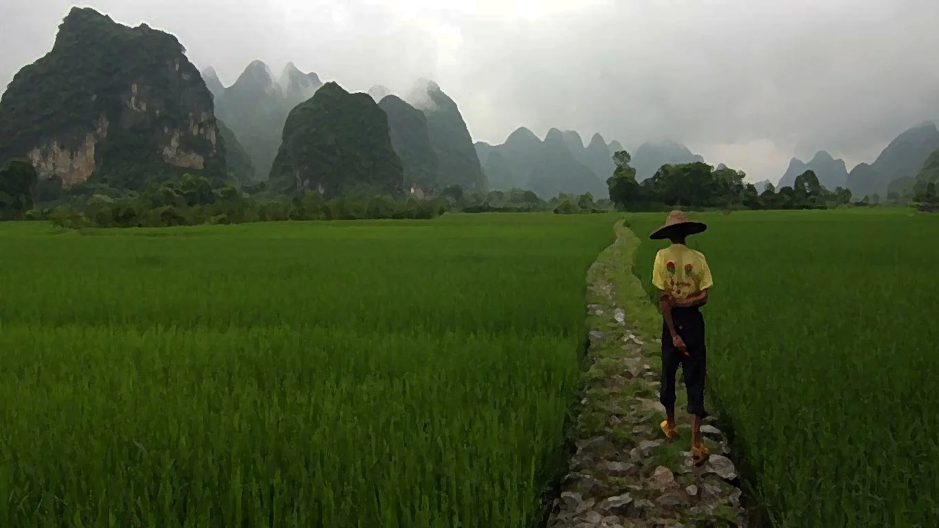 Rice Farmer.jpg