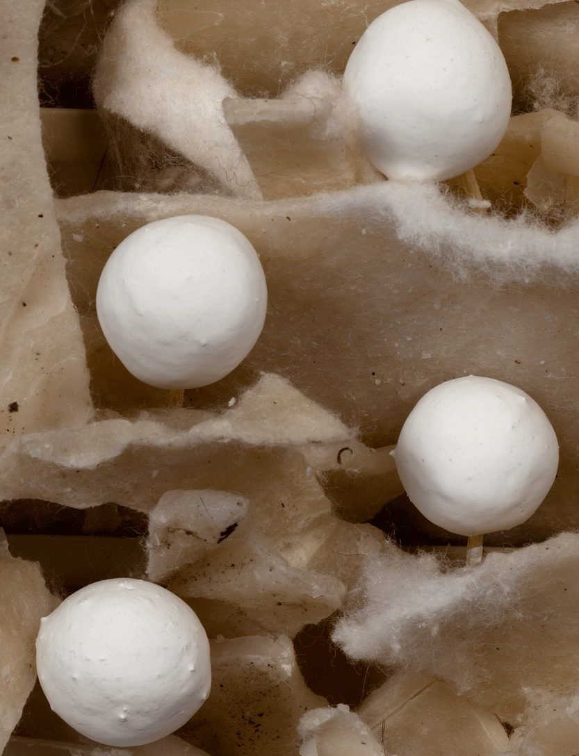 Sorting System (detail), 2010
