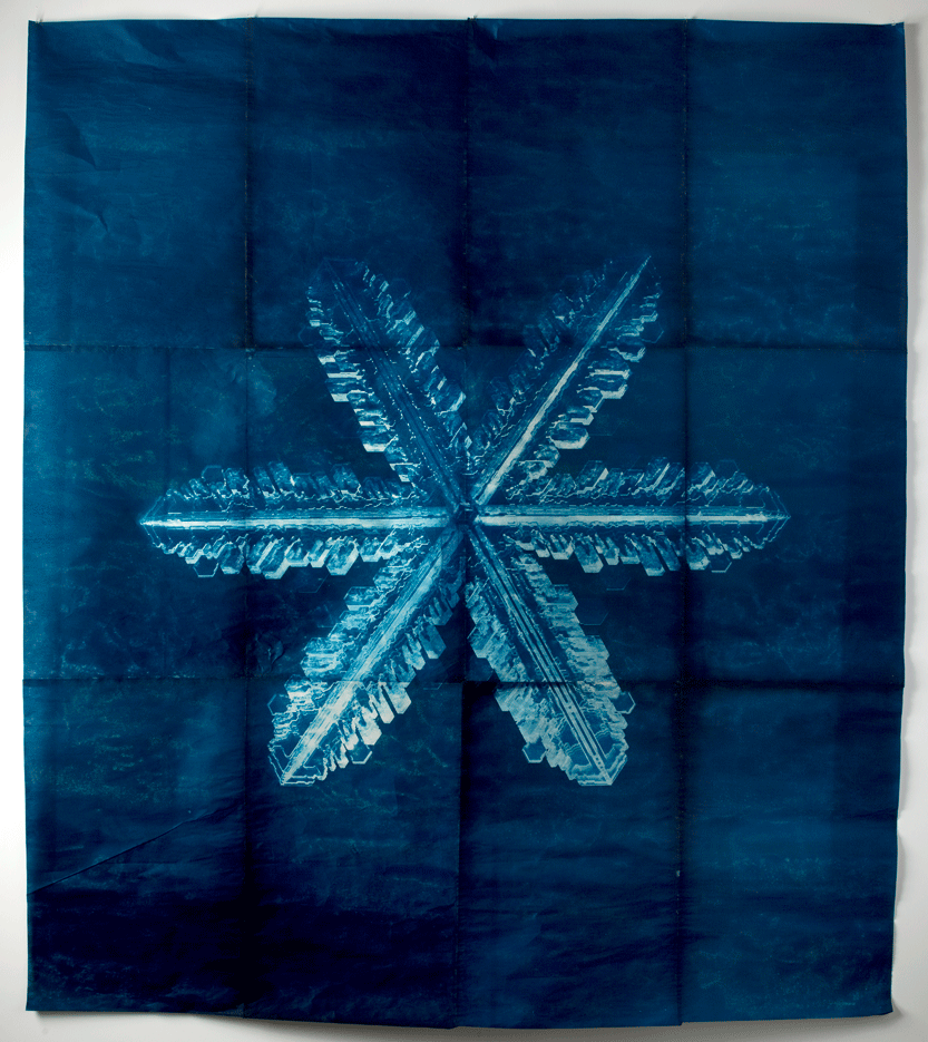 Snowflake #1, 2010