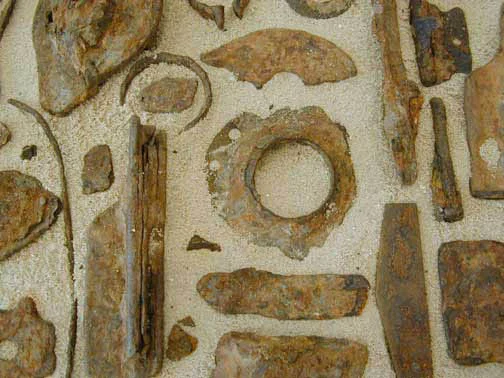 Beach Debris (detail)