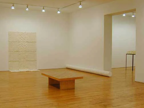 Dissipation, 2004 (detail)