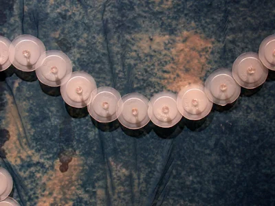 Casting a Net (installation view)