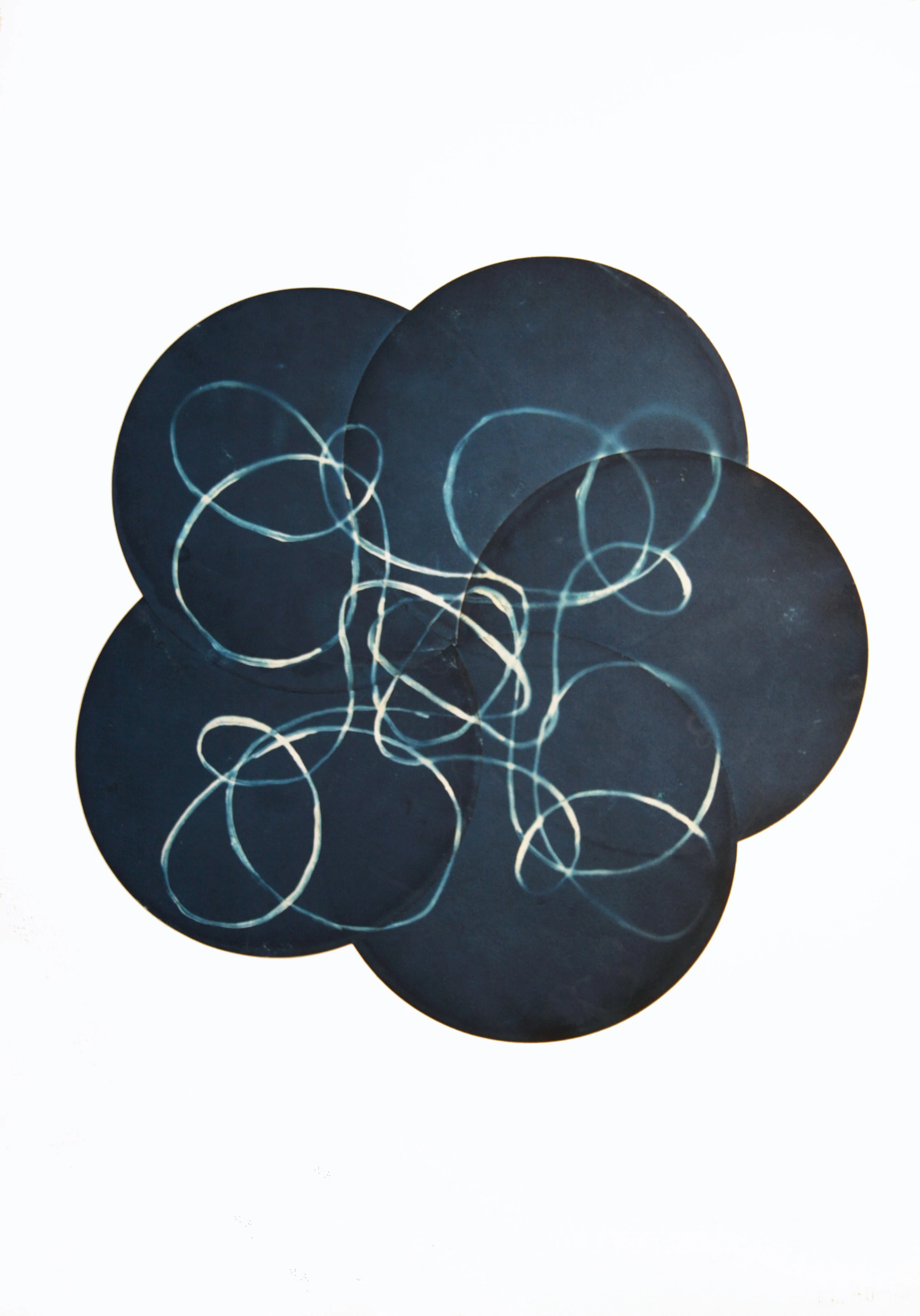 Qualitative by Circle #4