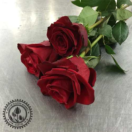rose-red.jpg