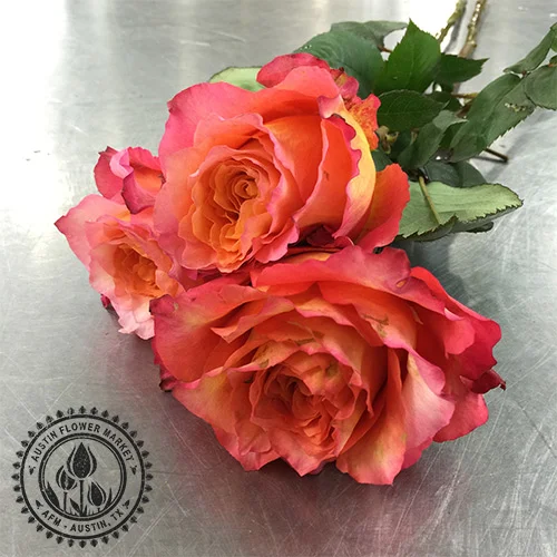 roses.jpg