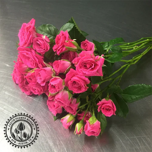 spray-roses-pink.jpg
