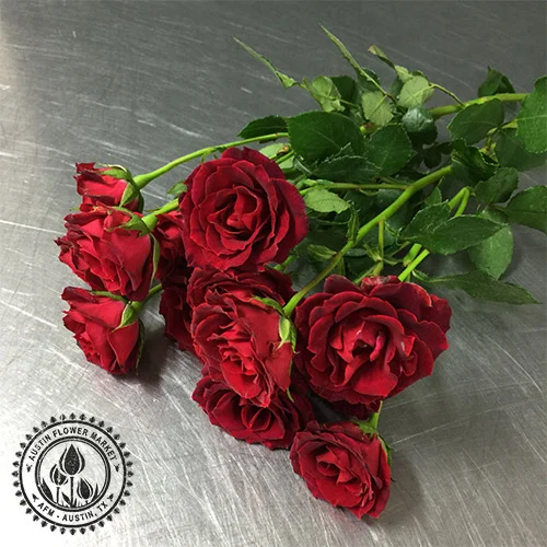 spray-roses-red2.jpg