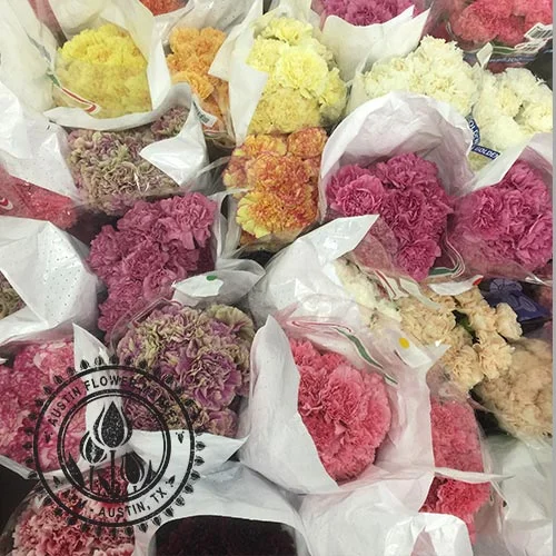 Carnations-Bulk.jpg