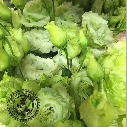 Lisianthus3.jpg