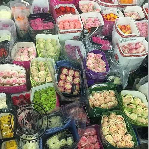 Rose-Bulk.jpg