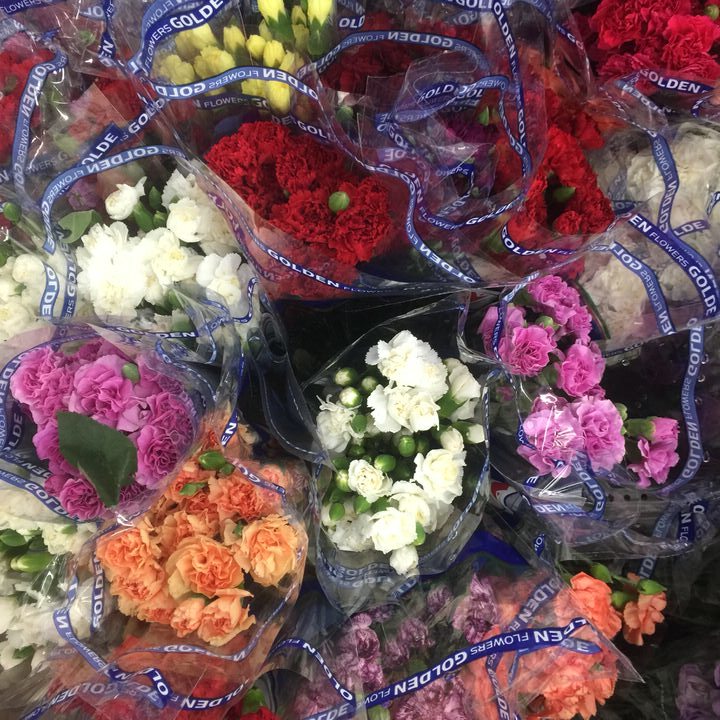 MINI CARNATIONS