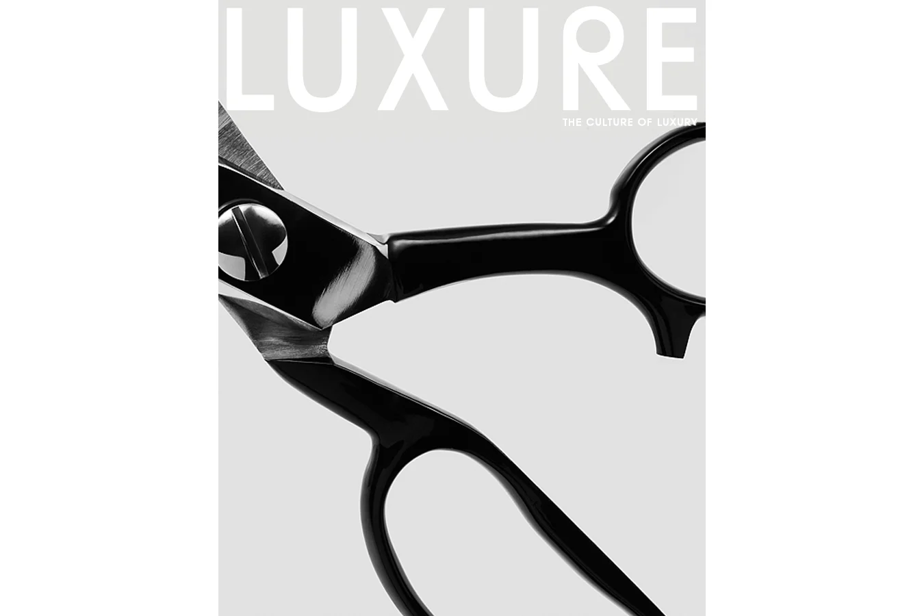 Luxure Tailored Issue Cover I