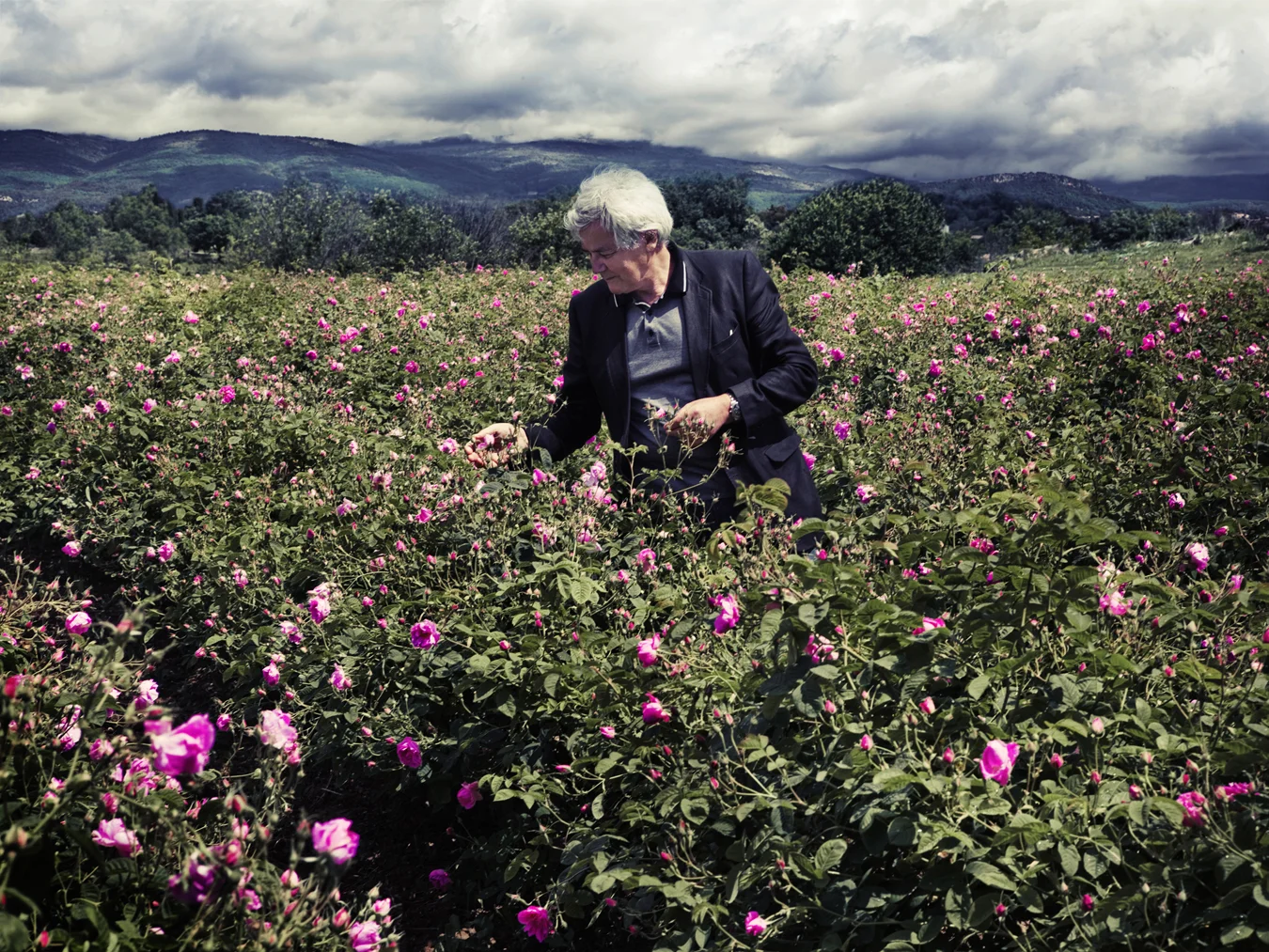 Francois demarchy II