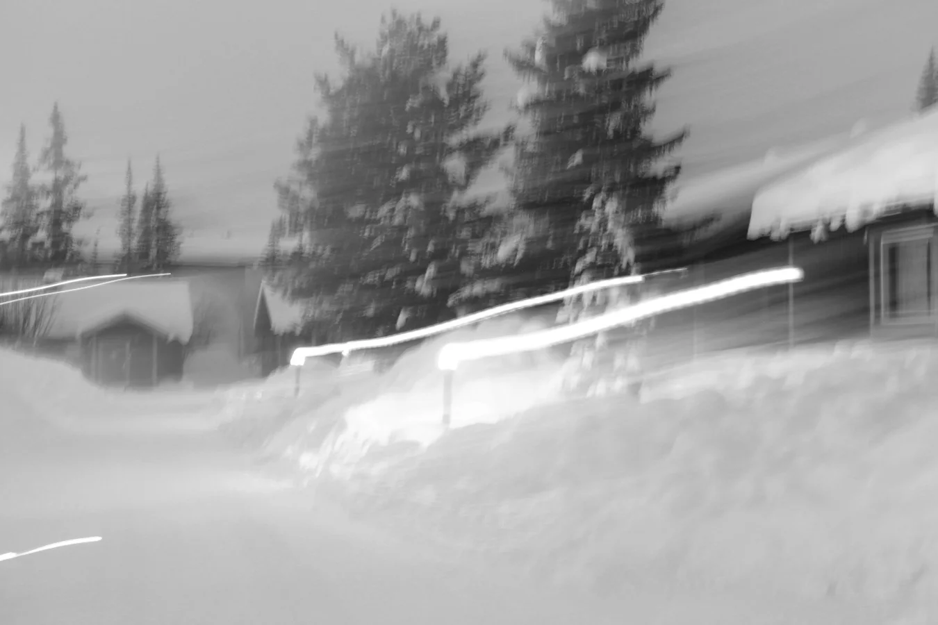 _MG_1688.jpg
