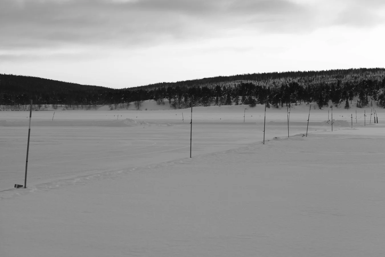 _MG_2154.jpg