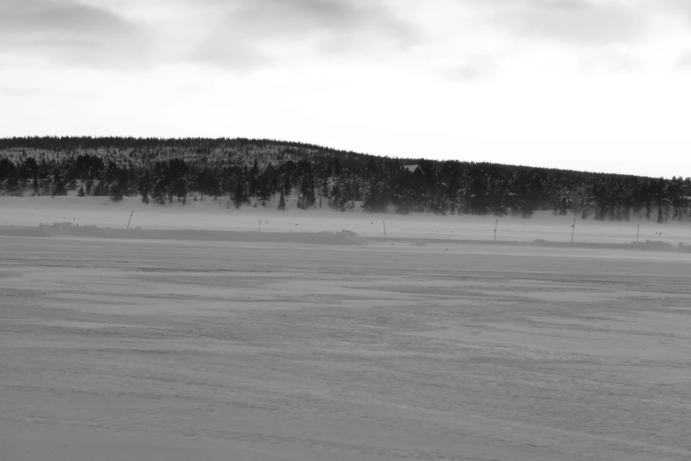 _MG_2155.jpg