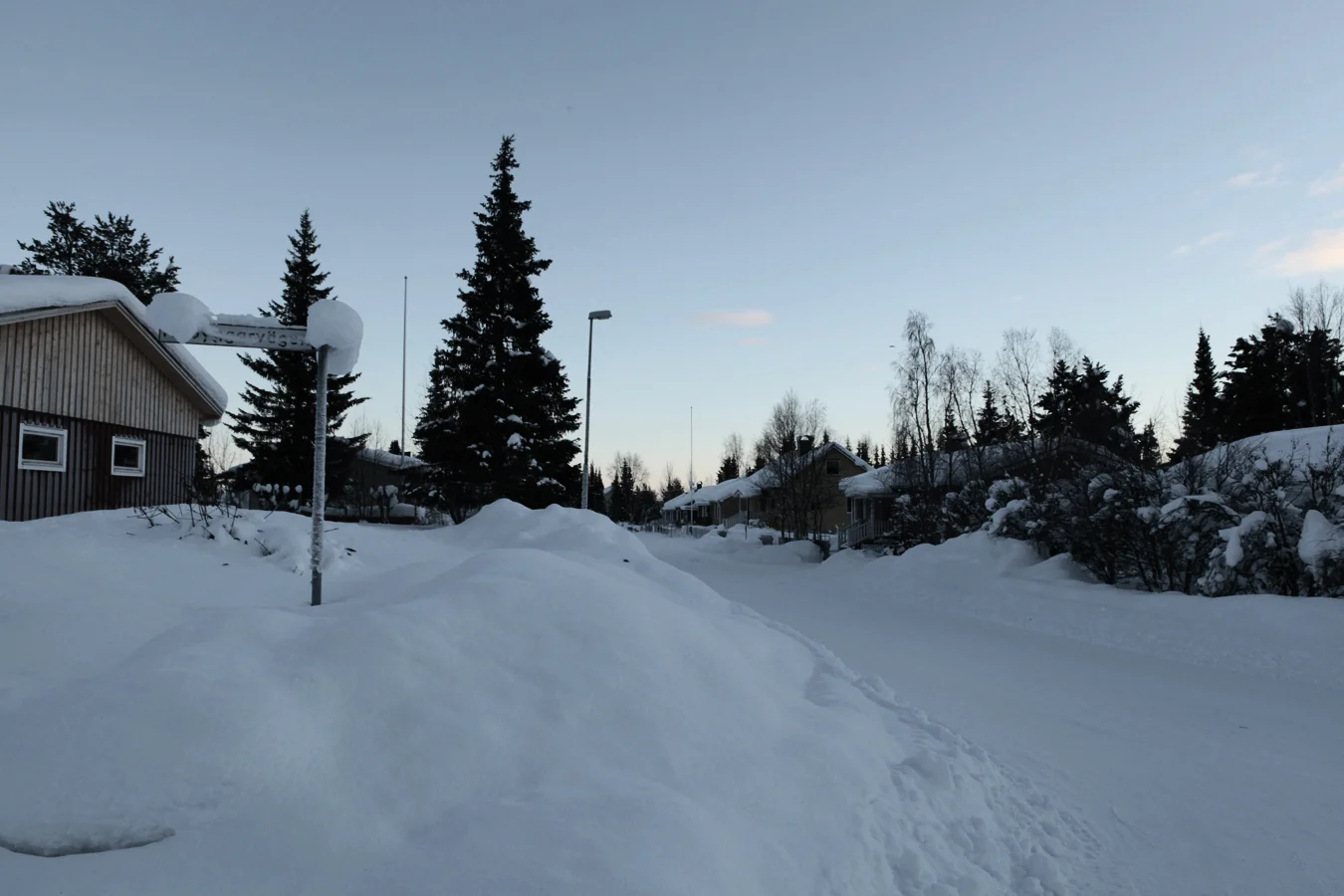 _MG_1540.jpg