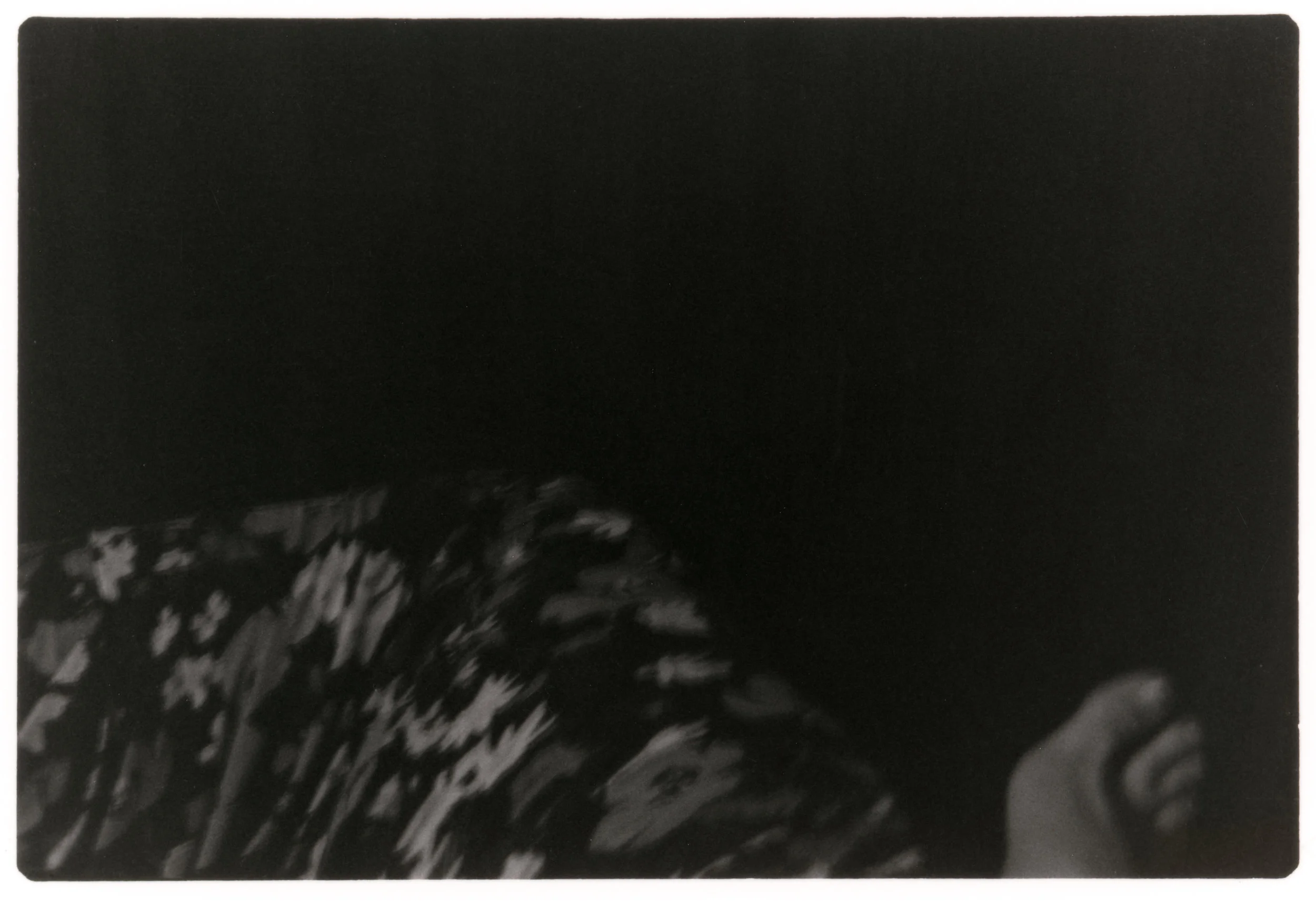Detail; Untitled, 2019 Gelatin Silver Print 2.7x1.8" in 8x10" Aluminum Frame