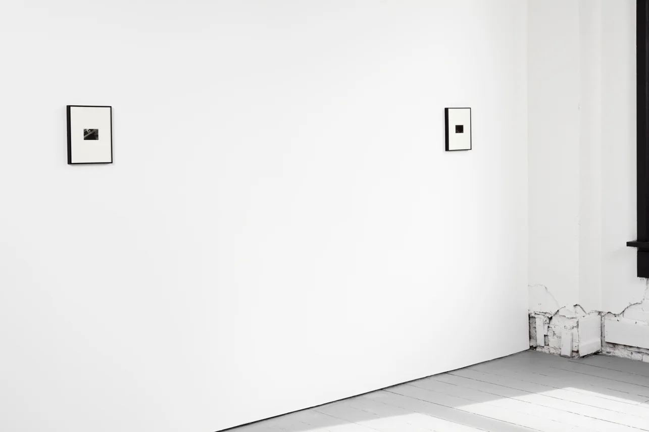 Mo Costello Howard’s, June 8 - July 13, 2019 Detail; Installation View