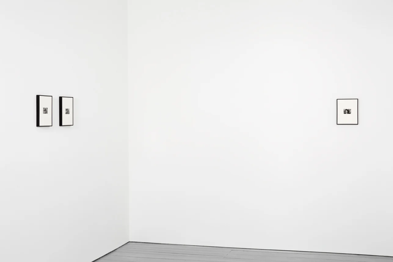 Mo Costello Howard’s, June 8 - July 13, 2019 Detail; Installation View