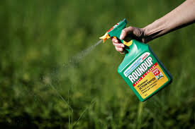 Are You Roundup Ready?