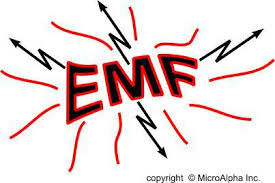 More on Protecting Yourself from EMFs