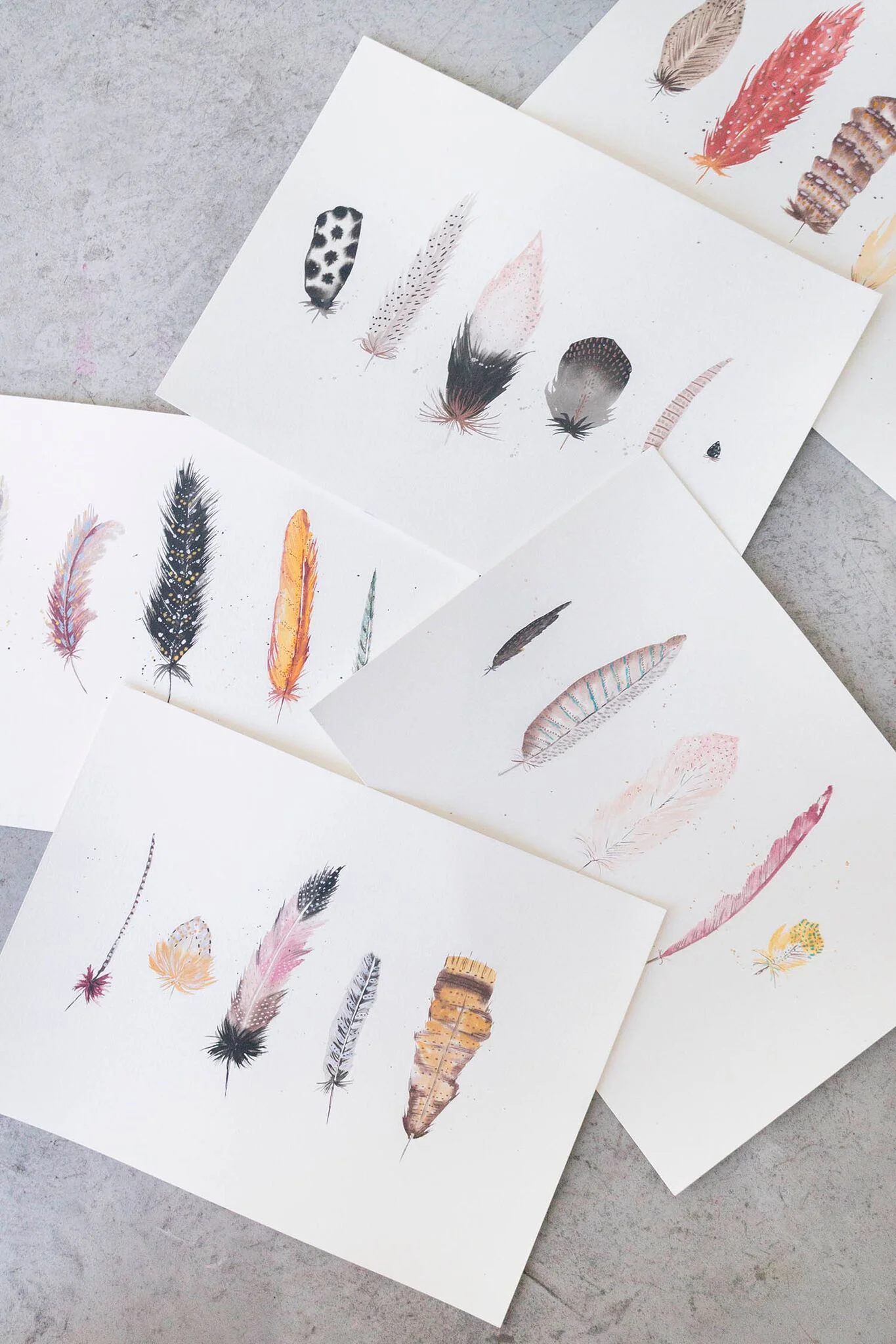 watercolorfeathers_2_preview.jpeg