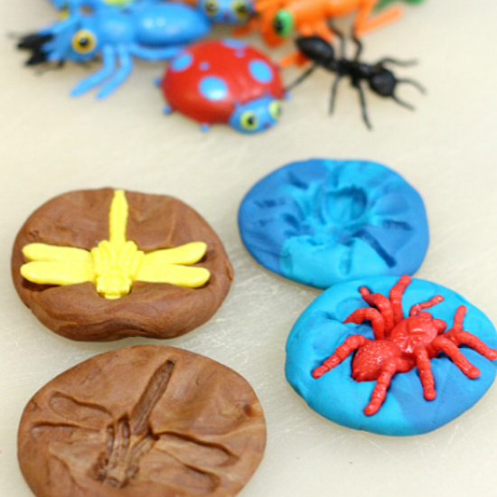 bug-fossils-playdough-.png